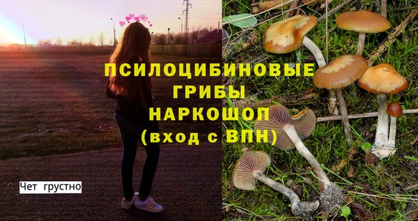 ешки Волосово