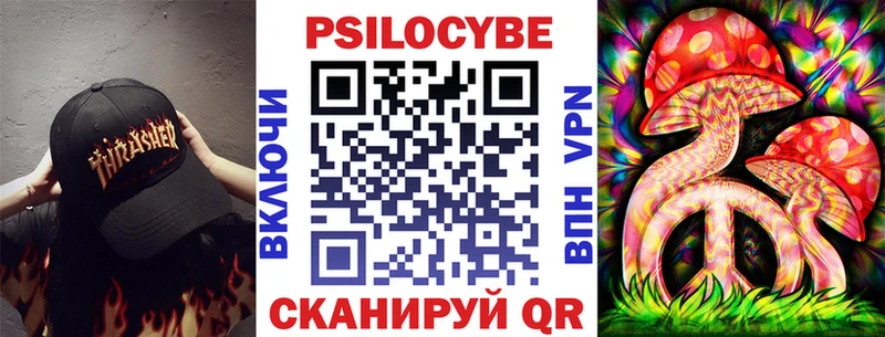 дарк нет Telegram  Камышлов  Псилоцибиновые грибы MAGIC MUSHROOMS 